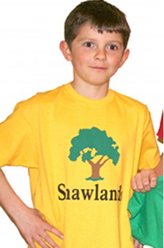shawlands yellow pe t-shirt