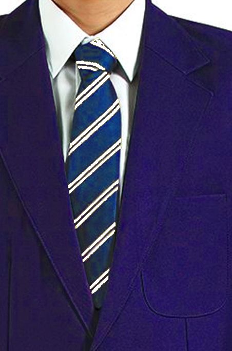YEAR 7 Kirk Balk Full Royal/Purple Tie