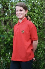 dodworth st johns red polo