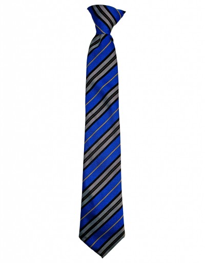 Astrea Academy Dearne Clip Tie