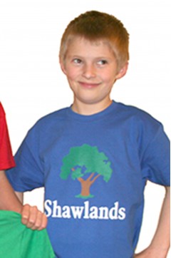 shawlands blue pe t-shirt