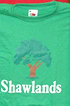 shawlands green pe t-shirt