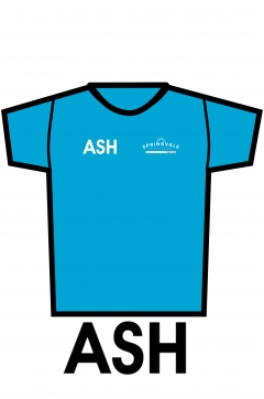 springvale pe t-shirt ash