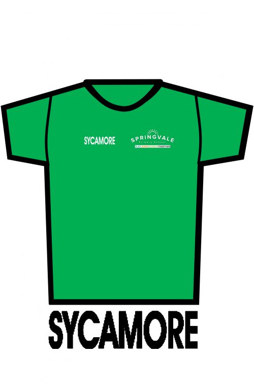 Springvale Green PE T-Shirt SYCAMORE