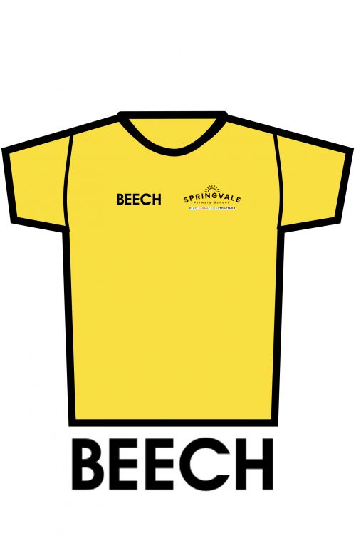 Springvale Yellow PE T-Shirt BEECH